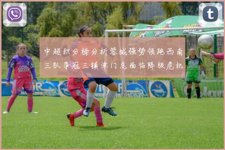 中超积分榜分析蓉城强势领跑西南三队争冠三镇津门虎面临降级危机
